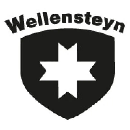 Wellensrteyn